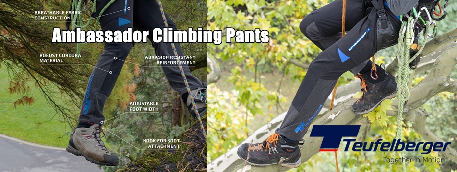 Ambassador Pants